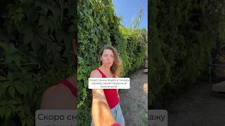 Дома в Испании. Часть 2 #домаВИспании #домавБарселоне #испанияДом #барселонаДом #купитьдомвИспании