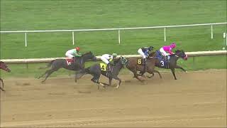 Vidéo de la course PMU RACE 8