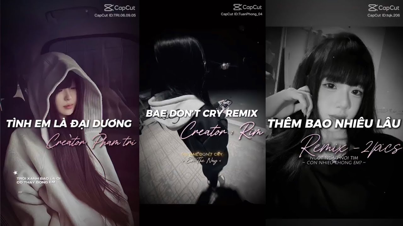 [Tik Tok] Tổng hợp những bài nhạc remix cực hay trên Tik Tok P.104