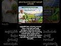 #UPFarmers #CarbonCredit #CarbonCreditProject #FarmerIncome #IndianAgriculture #GreenFarming #news