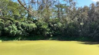IMG 4676
