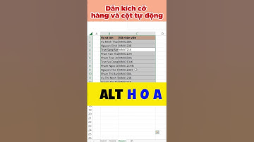 [Thủ thuật Excel] Tự động căn chỉnh hàng và cột trong Excel! #short