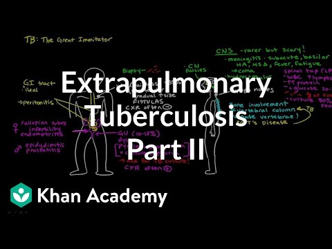 Extrapulmonary TB (Part 2) | Infectious diseases | NCLEX-RN | Khan Academy