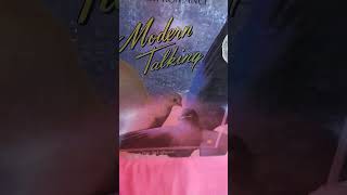 Modern Talking 1986