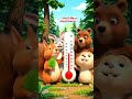 250514 Forest Temperature Masters! The Animals' Cozy Life