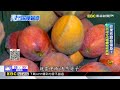 【東森深度報導】別再誤會芒果了！ 研究揭適量吃有助穩血糖@newsebc
