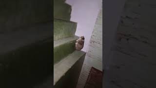 Httpsyoutubecomshortsmsa3rmerxiusifjtwmav1y3qfqvl3 automobile