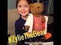 Zylie the Bear Review by Lily #ZylieTheBear