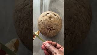 🇦🇹 Austria la fresh coconut 🥥 water 😍 #austria #tamil #minivlog #shortsfeed #ytshorts