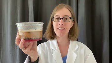 ESS1-4 Layering Earth