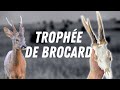 Comment faire un trophée de brocard ? // De la quête à l&#39;assiette (partie 2)