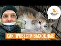 Муркоша. Или как провести свой выходной. Плюс МИНУТКА РЕЛАКСАЦИИ!