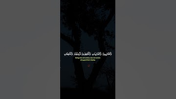 تلاوة هادئة تريح الاعصاب للأية  35 من سورة الأحزاب  للقارئ  احمد العجمي  🎧❤️🎧