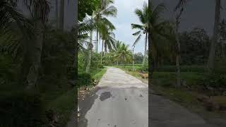 Srono-Banyuwangi,Jalan jalan Desa Banyuwangi