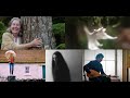 TREE TV EPISODE 4: DIANA BERESFORD-KROEGER, BEALTAINE COTTAGE, EDWINA GUCKIAN, CATHY JORDAN