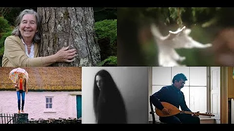 TREE TV EPISODE 4: DIANA BERESFORD-KROEGER, BEALTAINE COTTAGE, EDWINA GUCKIAN, CATHY JORDAN