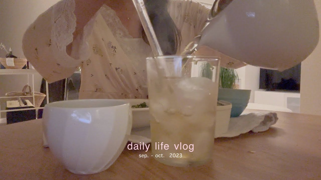 vlog. 新しい服と過ごす秋の日常🧦自炊を楽しむ🥟KALDIの購入品と夕飯,grwm✧