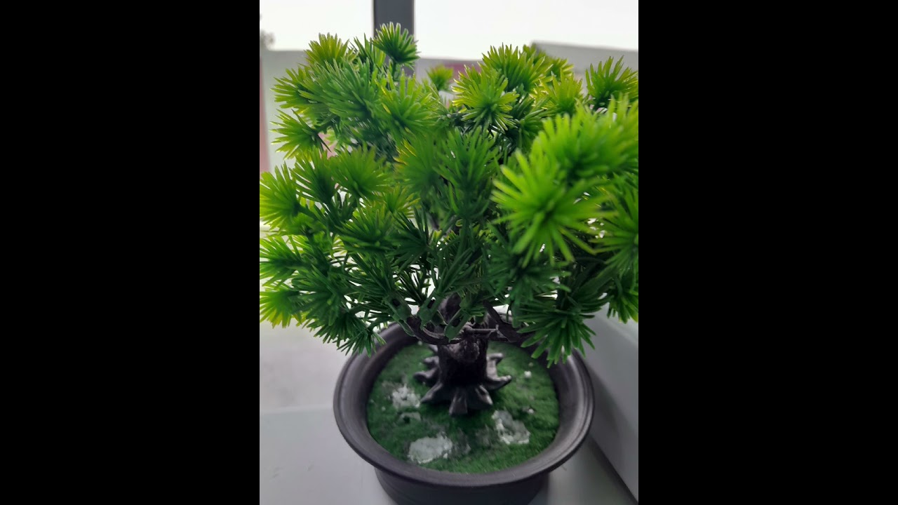 #kesfetteyiz :#fyp :#starwars :#mahnı 