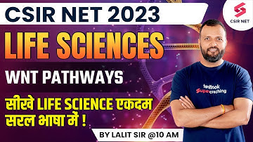 CSIR NET 2023 | Life Sciences | WNT Pathways | Complete Discussion | Lalit Sir
