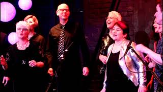 Next Offramp 2017 Stray Cat Strut