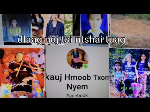 Video: Dab tsi yog qhov poob siab absorbers ua los ntawm?