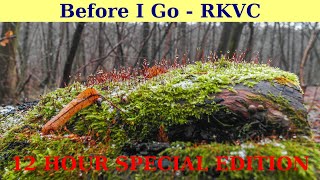 MOTIVATIONAL MUSIC || Before i go by RKVC. || 12 HOUR VERSION.