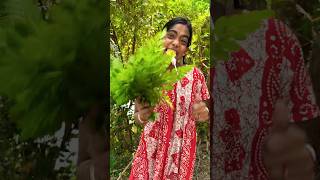 Moringa Red Rose candy By technical fuchkul 🥴😛😬