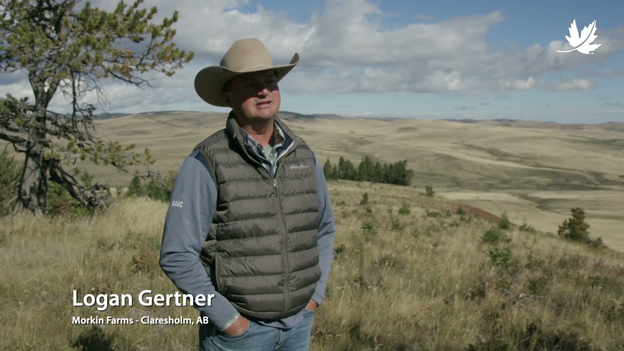Working together for Alberta’s natural heritage