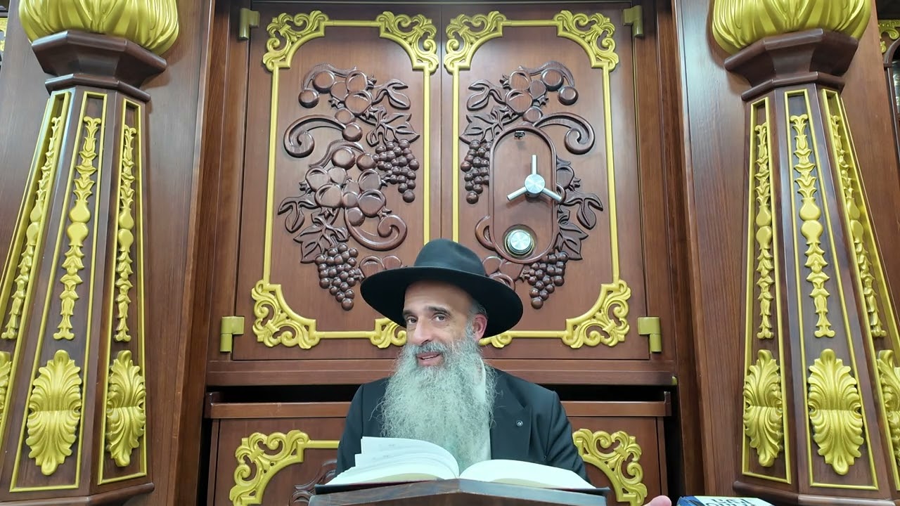 האם בן תורה יכול לצאת לעבוד ? - הרב מאיר דוד שמואלי