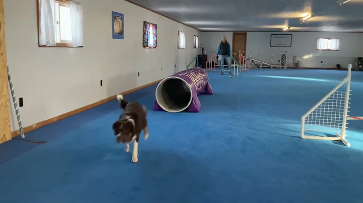 Go Tunnel