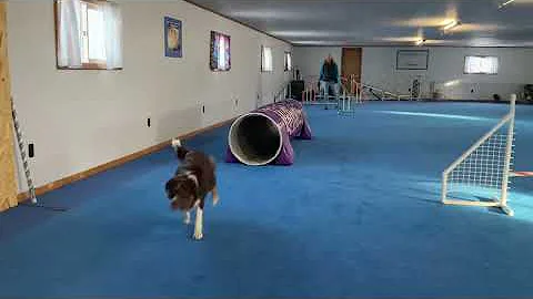 Go Tunnel