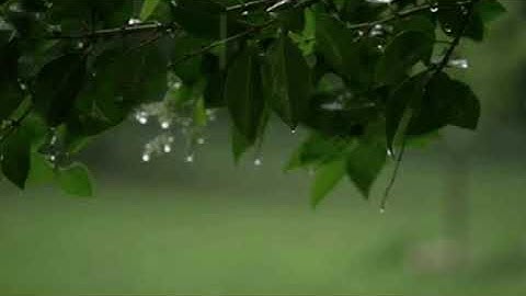 تلاوة هادئة و مريحة:سورة الجن|ماهر عرار|