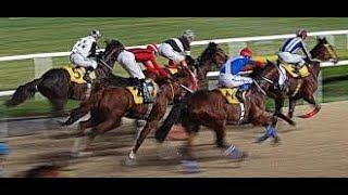 【VELIEFENDI】TURKISH HORSE RACE ANALYSIS - CHECK OUT ONE OF THE BEST ☆☆☆ TOO!! screenshot 5
