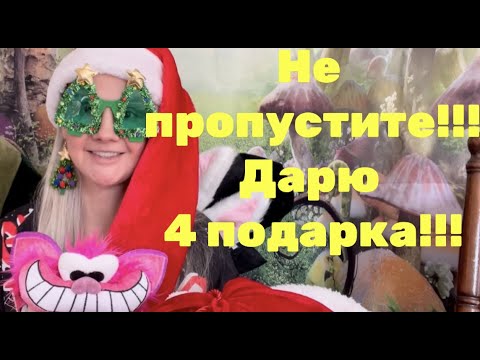 Видео: Алисыг Wonderland Party-д хэрхэн зохион байгуулах вэ