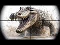 Hunting Massive Saltwater Crocodiles in Australia - The Hunter Call of the Wild