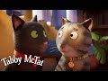 Tabby McTat has a New Special Friend 🐱❤️🐱 @GruffaloWorld: Tabby McTat