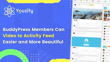 WordPress Members Can Share Video to Activity Feed Easier and More Beautiful