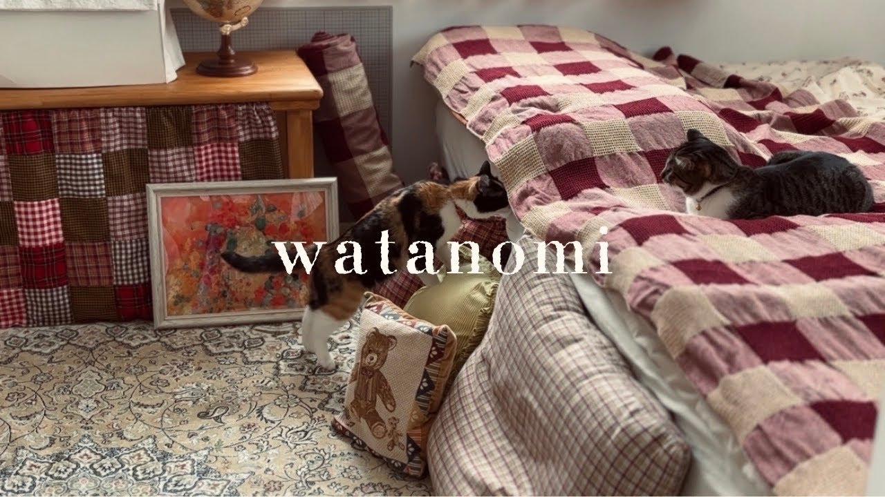 vlog暮らし|猫とチーズケーキとくつろげる空間|お部屋の模様替え|A place to relax with cats and cheesecake | Room makeover