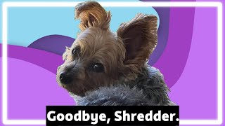 Best of Shredder