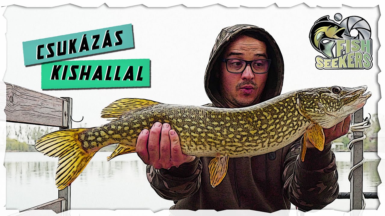 CSUKÁZÁS bányatavon KISHALLAL - Carp & Carp tó - Part I