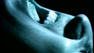 Personal Signet - Insomnia