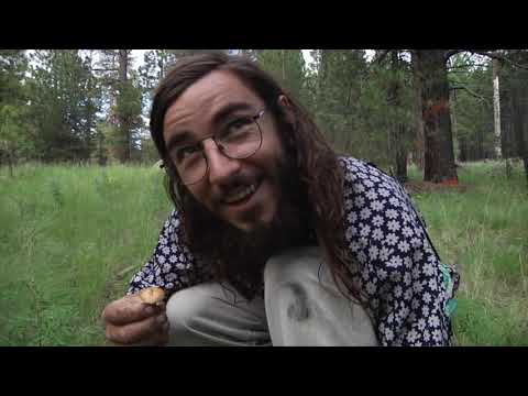 JENKEM   Hunting for Mushrooms with Ryan Reyes