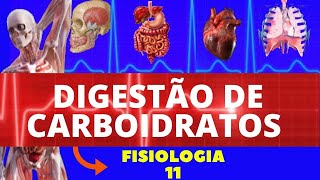 DIGESTÃO DE CARBOIDRATOS (FISIOLOGIA HUMANA) - FISIOLOGIA DO SISTEMA DIGESTÓRIO (FISIOLOGIA GUYTON)