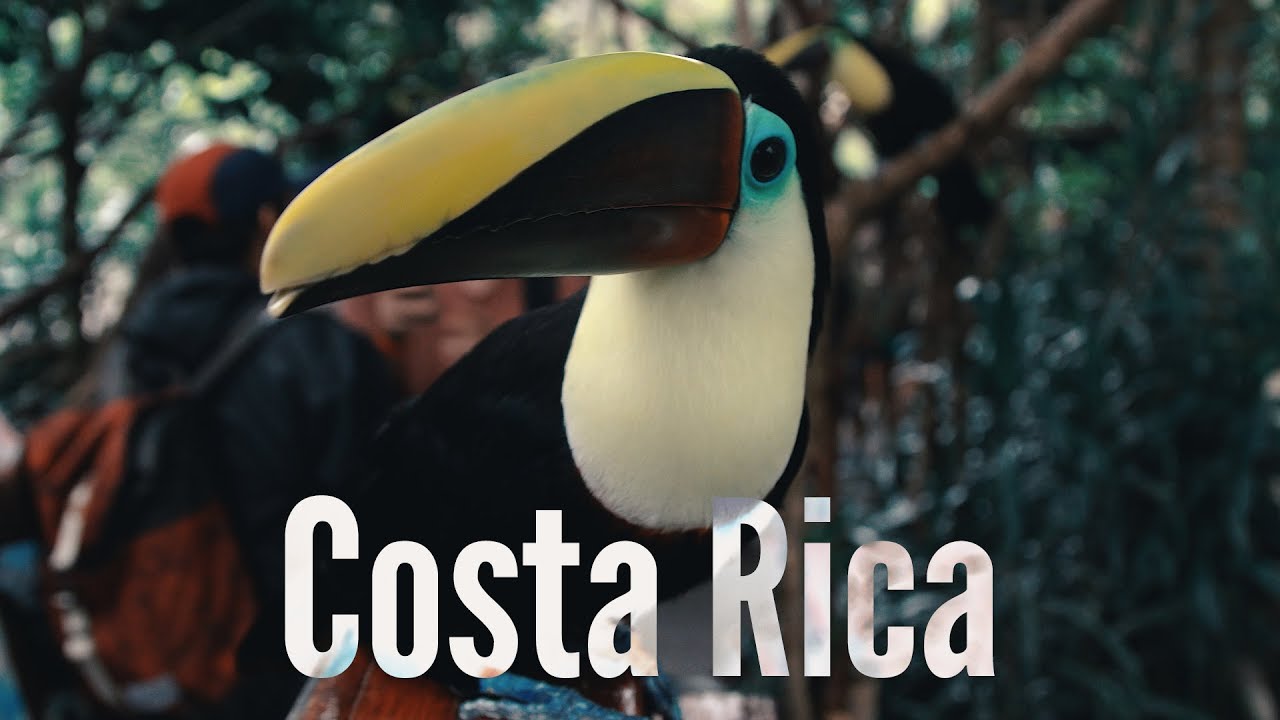 Costa Rica 2017 || ElevenTwelve Originals vista sky lounge