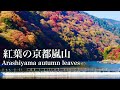 2020年11月18日(水)紅葉見頃の京都嵐山渡月橋Arashiyama autumn leaves