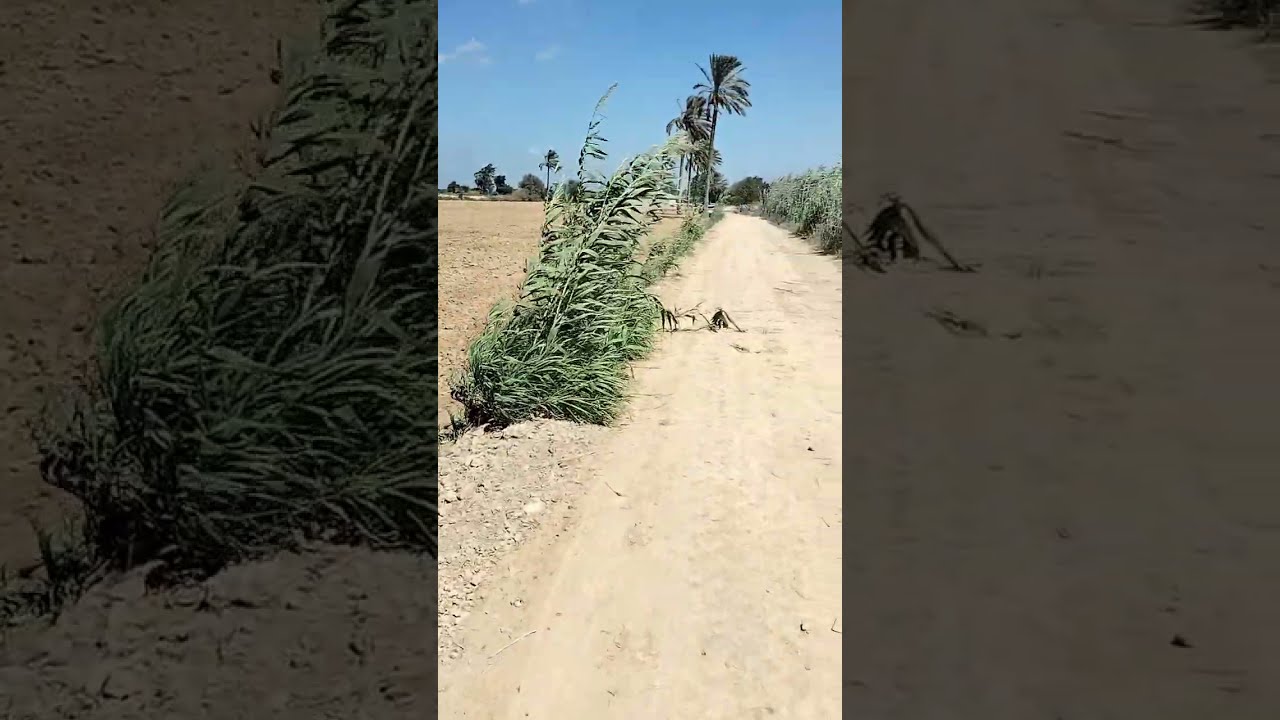 للبيع قطعة ارض زراعيه مسجله 5فدادين قريبه جدا من الطريق الصحراوي مصر اسكندرية يوجد بها رخصة مباني