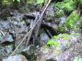 Pajsbergs Gruvfält och Guldplatshagen 2012-06-26