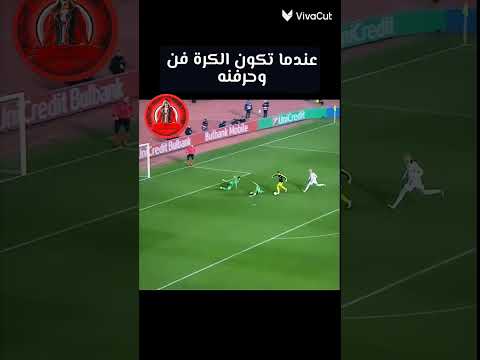 أهداف عالمية فن وحرفنه   اهداف