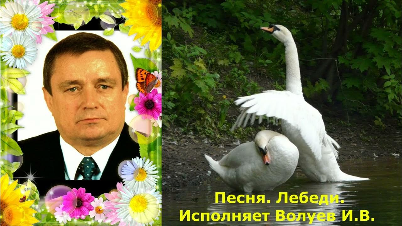 Песня лебеди кто исполняет. Песня лебеди кто исполняет