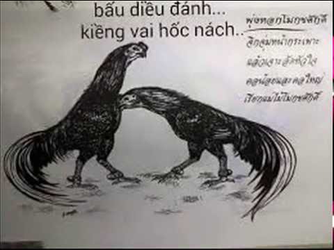 Video cách xem đòn lối khắc lối thuận lối nhau.
